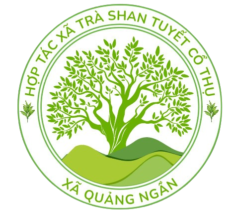 Tracothuquangngan.com